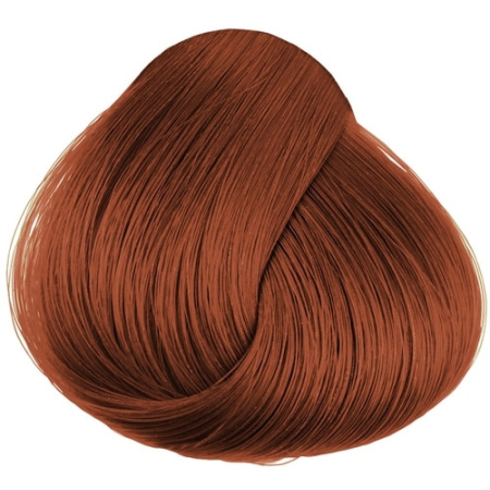 6098c22194250e4d759c74cb_6_4-p-500