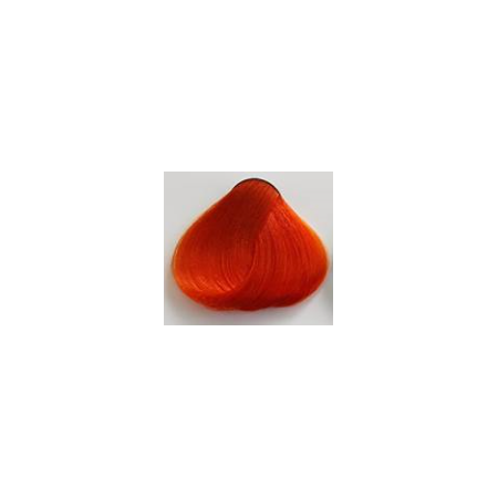 pumpkin_pie