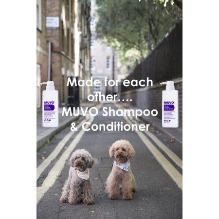 the-poodle-gang-385609-unsplash_copy